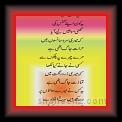 yeh ko aya saleem sagir 01 * 22.03.2008 * 291 x 566 * (26KB)